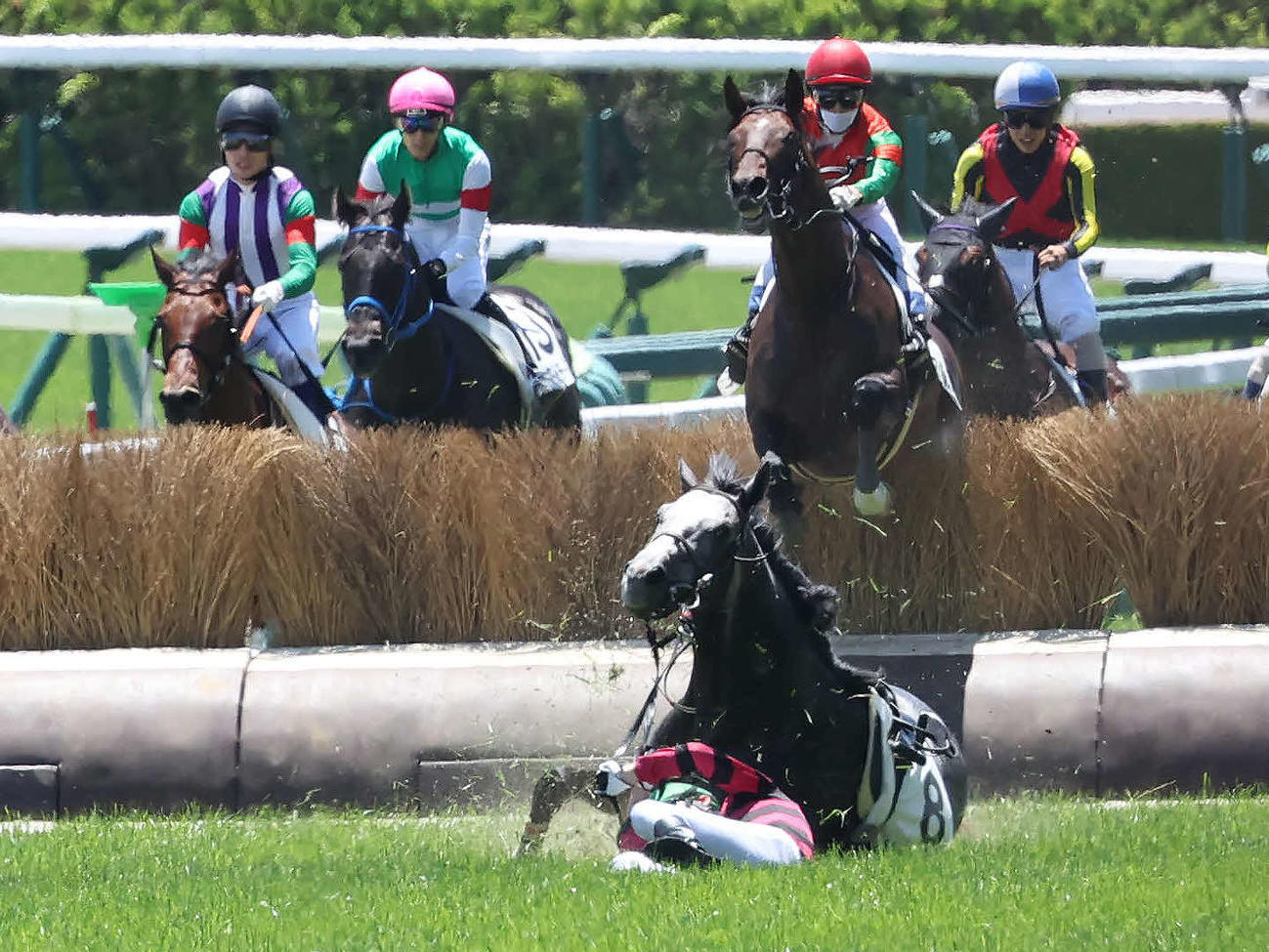 福島4R、障害3歳上未勝利戦を制したマイネルコロンブスと上野騎手（左から3頭目）（撮影・丹羽敏通）