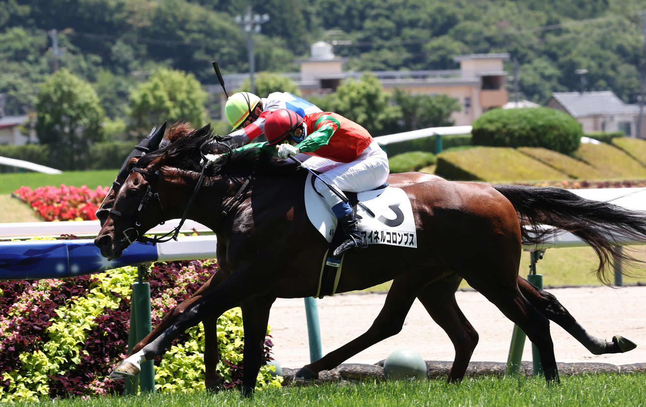 福島4R、障害3歳上未勝利戦を制したマイネルコロンブスと上野騎手（手前）（撮影・丹羽敏通）