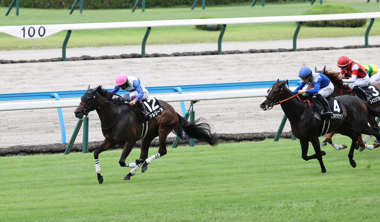 博多Sを制したアルジーヌと西村淳騎手（撮影・梅根麻紀）