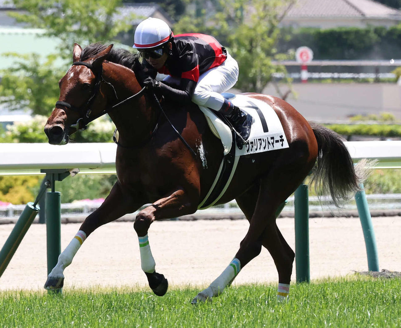 福島5R、逃げ切って2歳新馬戦を制したヴァリアントマーチと戸崎騎手（撮影・丹羽敏通）