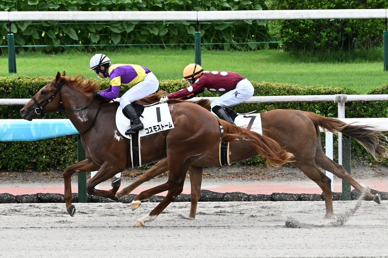 小倉6R　ゴール前で差し切ったコスモストームと秋山騎手が新馬戦を制する（撮影・林敢治）