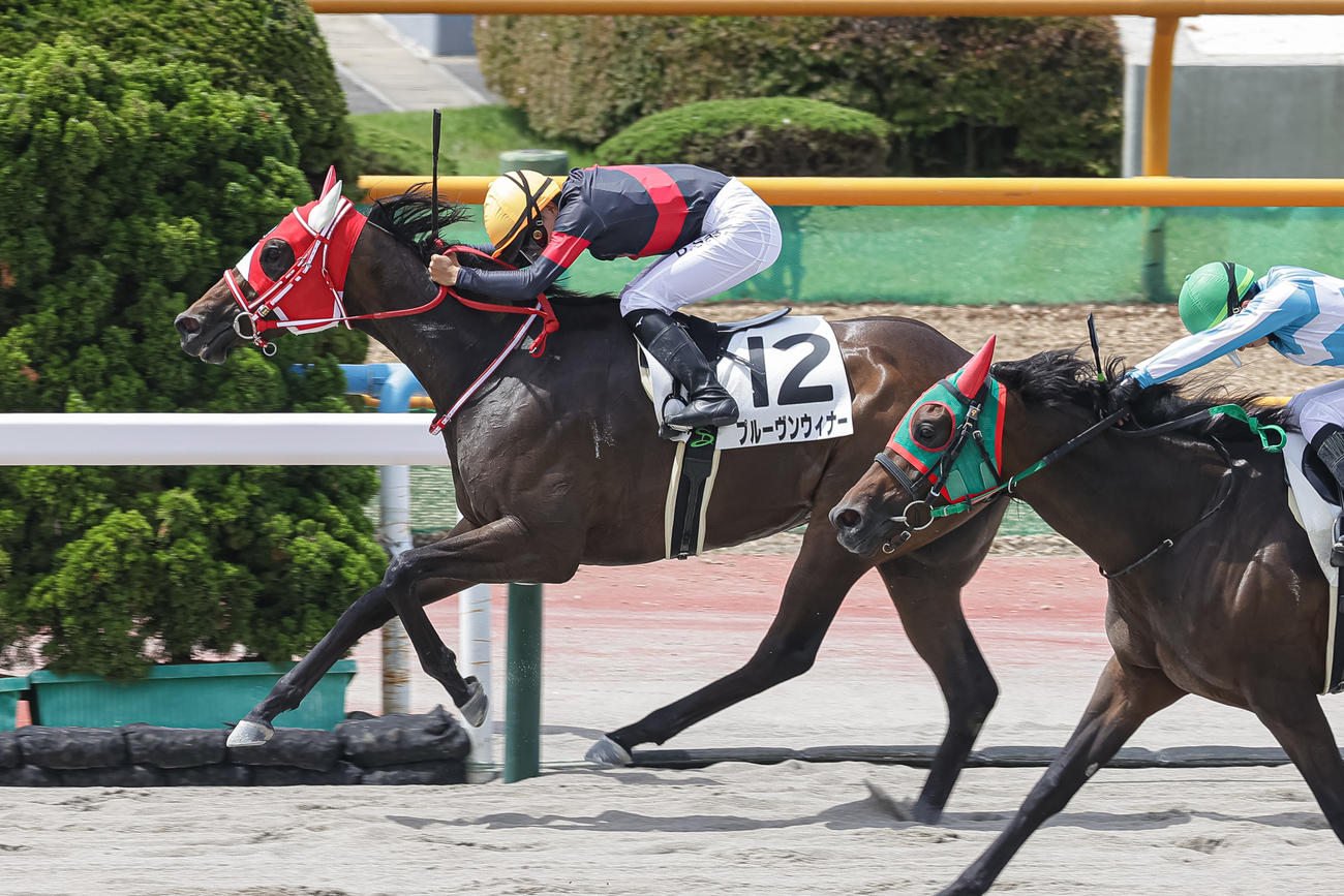 3歳未勝利を勝ち上がったプルーヴンウィナーと佐々木騎手（撮影・村野早祐）