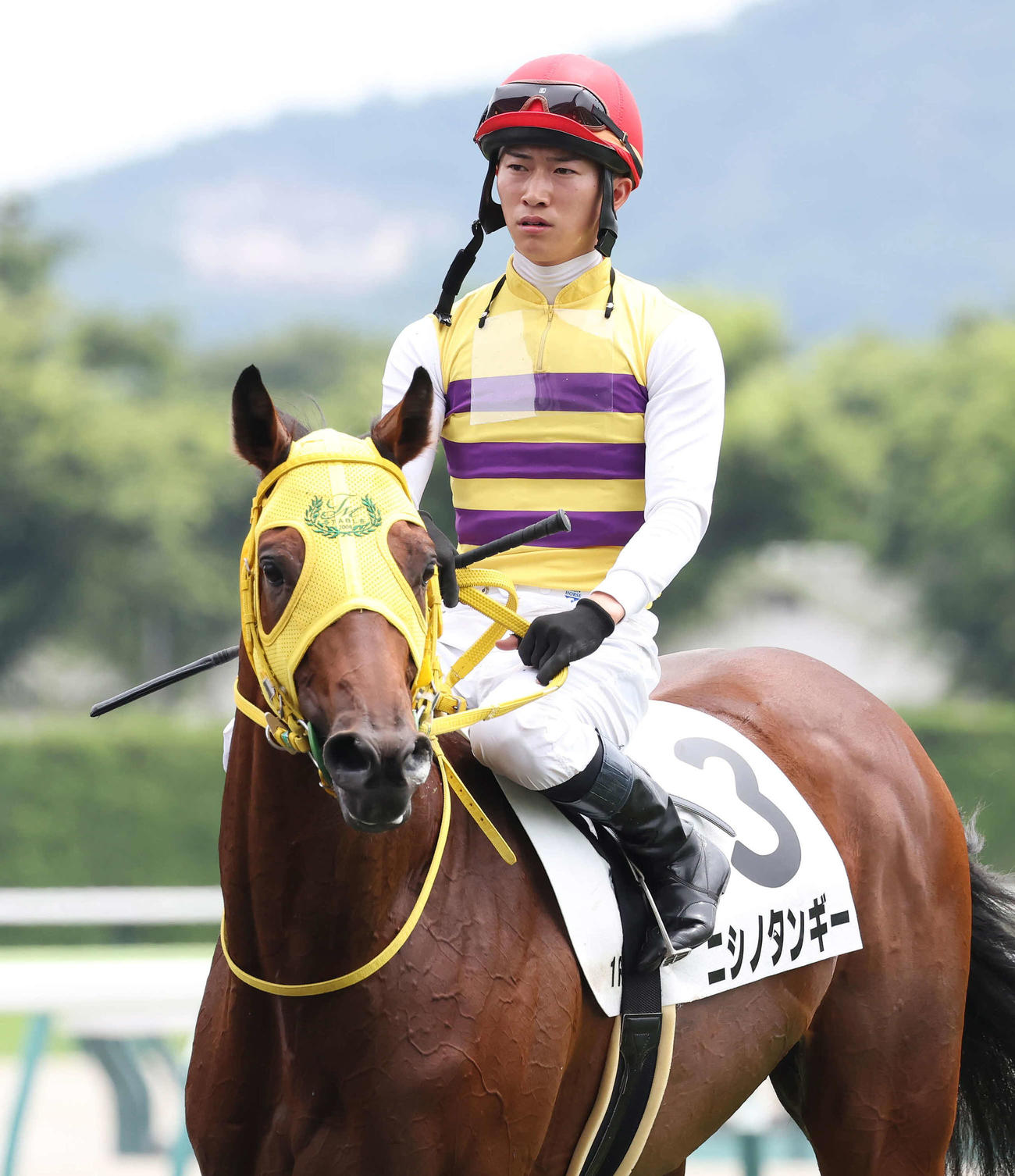 福島1R、2歳未勝利戦を制したニシノタンギーと菅原明騎手（撮影・丹羽敏通）