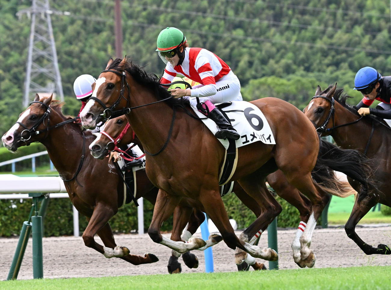 小倉6R、差し切り勝ちを決めたユメシバイ（6番）と永島まなみ騎手（撮影・林敢治）