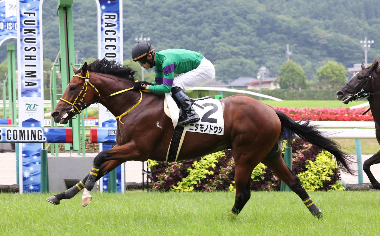 福島6R、2歳新馬戦を制したニタモノドウシと菅原明騎手（撮影・丹羽敏通）
