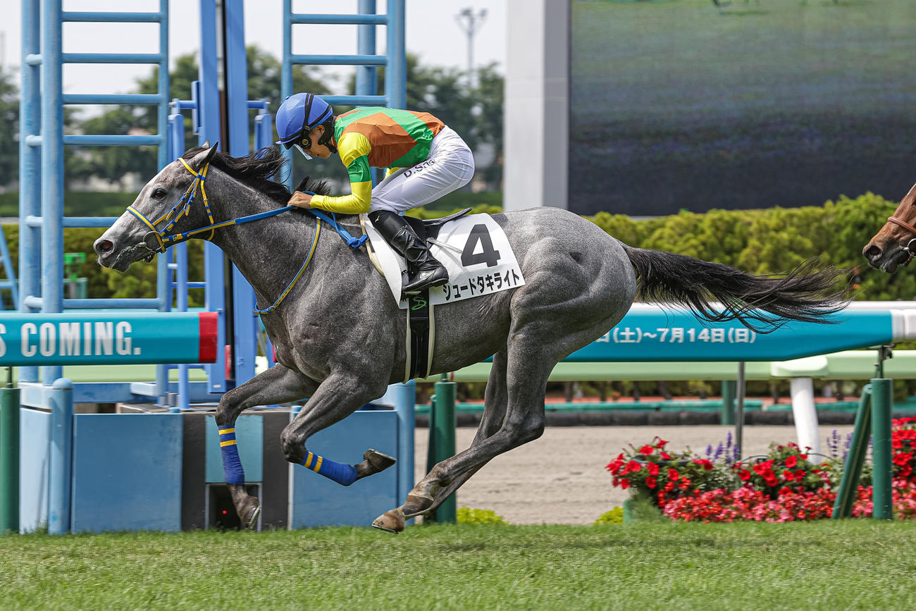 2歳未勝利を勝ち上がったシュードタキライトと佐々木騎手（撮影・村野早祐）