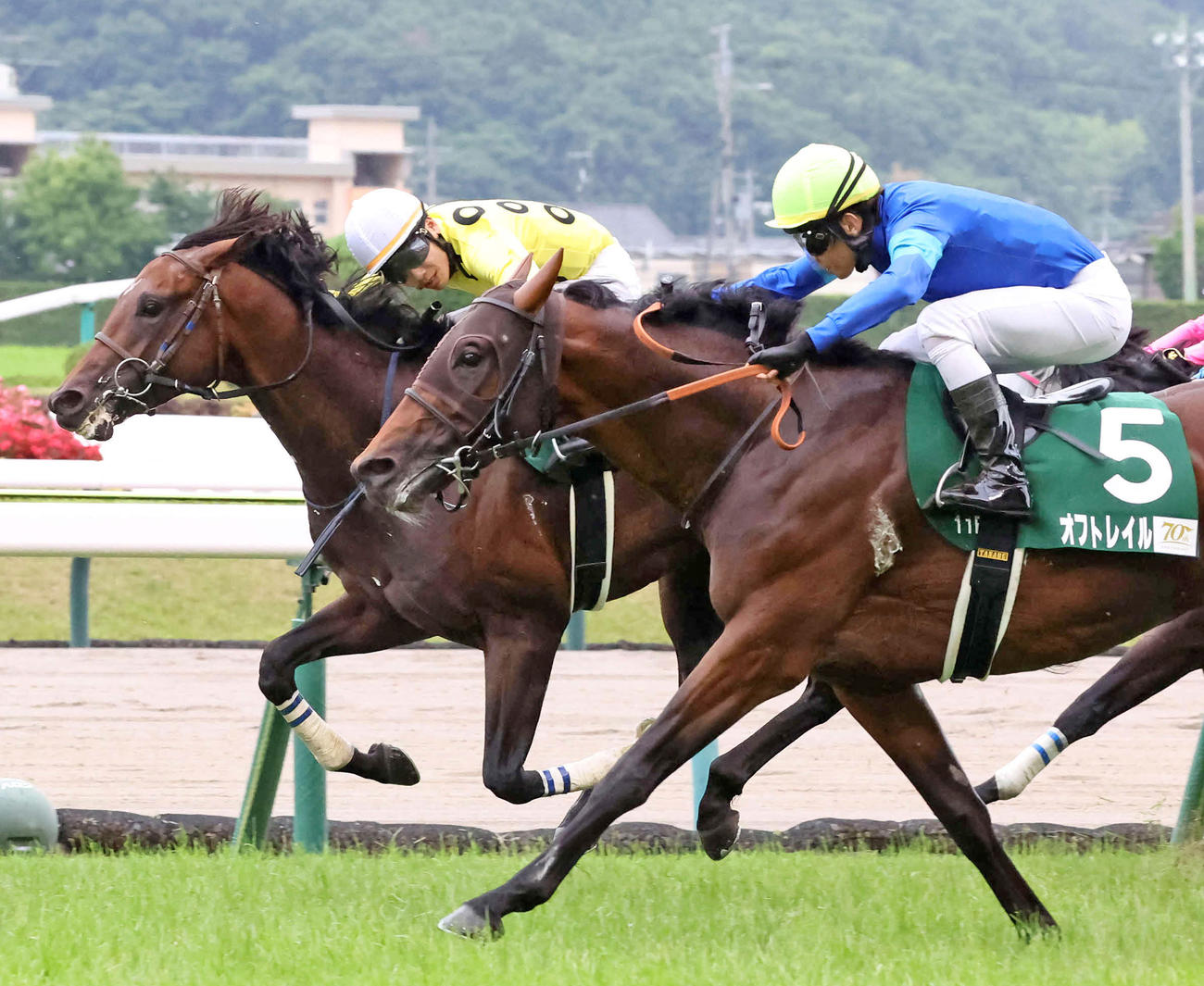 ラジオNIKKEI賞2着に敗れたシリウスコルト（奥）。手前は勝ったオフトレイル（撮影・丹羽敏通）