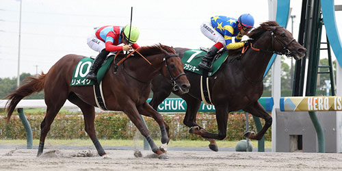 逃げ切ってプロキオンSを制したドンフランキー。左は2着に敗れた1番人気のリメイク（撮影・白石智彦）＝2023年7月9日、中京競馬場