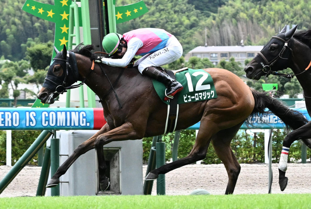 11R　北九州記念　1着12番ピューロマジックと松山騎手は北九州記念を制す（撮影・林敢治）