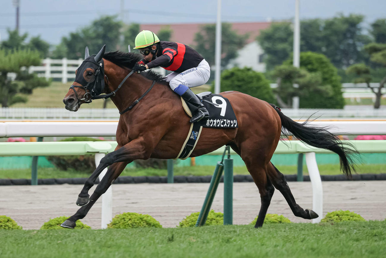 巴賞を制したホウオウビスケッツと岩田康騎手（撮影・村野早祐）