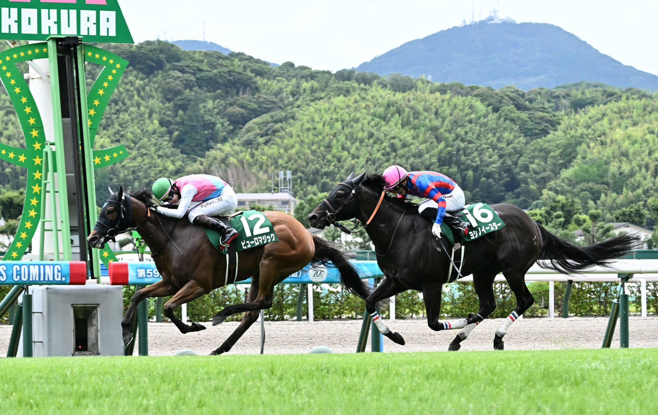 ピューロマジックと松山騎手（左）はヨシノイースターの追い上げをかわし北九州記念を制した