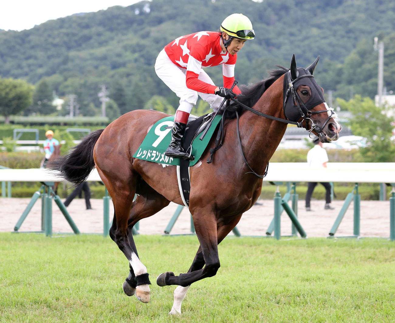 23年七夕賞5着に敗れたレッドランメルト