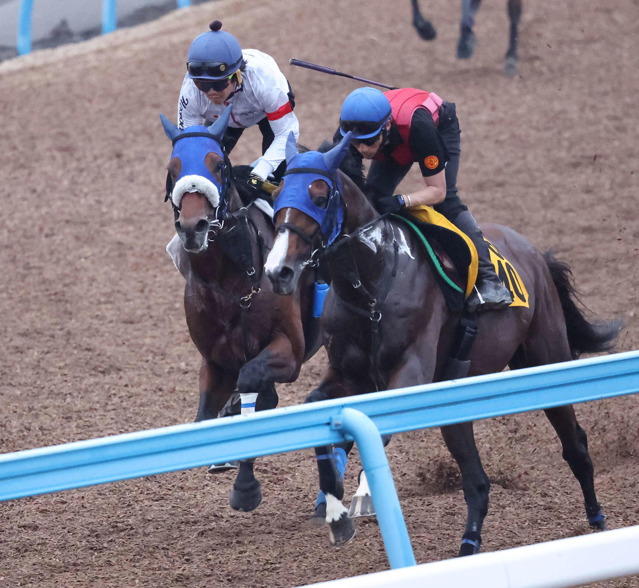 6月26日、併せて追い切られたキングズパレス（左）