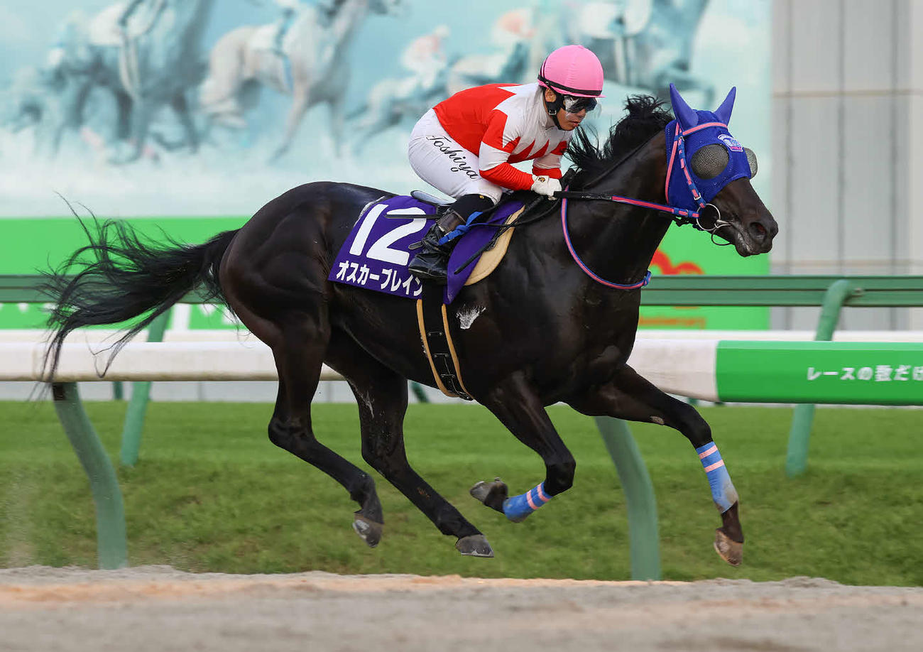 ハヤテスプリントを制したオスカーブレイン（写真提供・岩手県競馬組合）