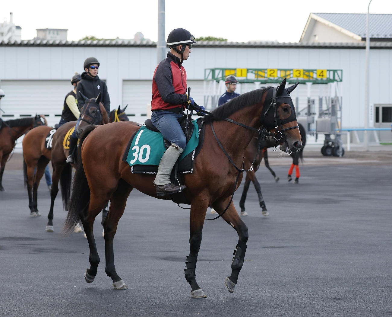 函館競馬場で調整を積むカルテシウス