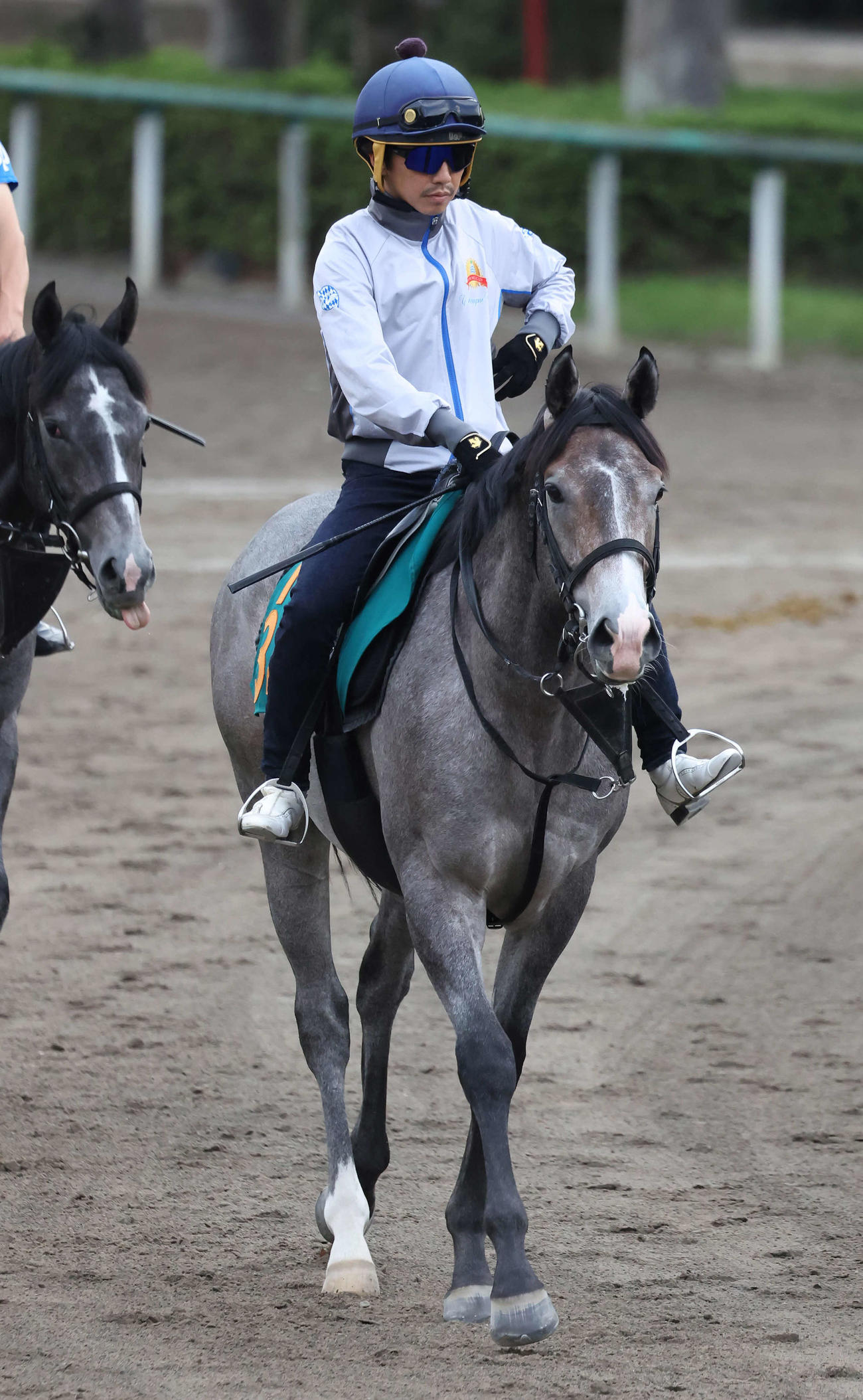 6月27日、馬場へ向かうウインアレースと松岡騎手
