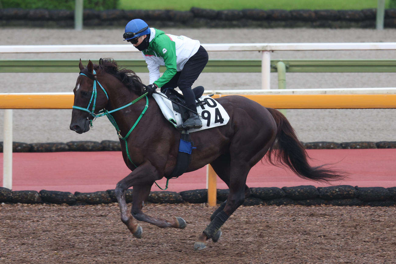 6月26日、馬場入りするスレイマン