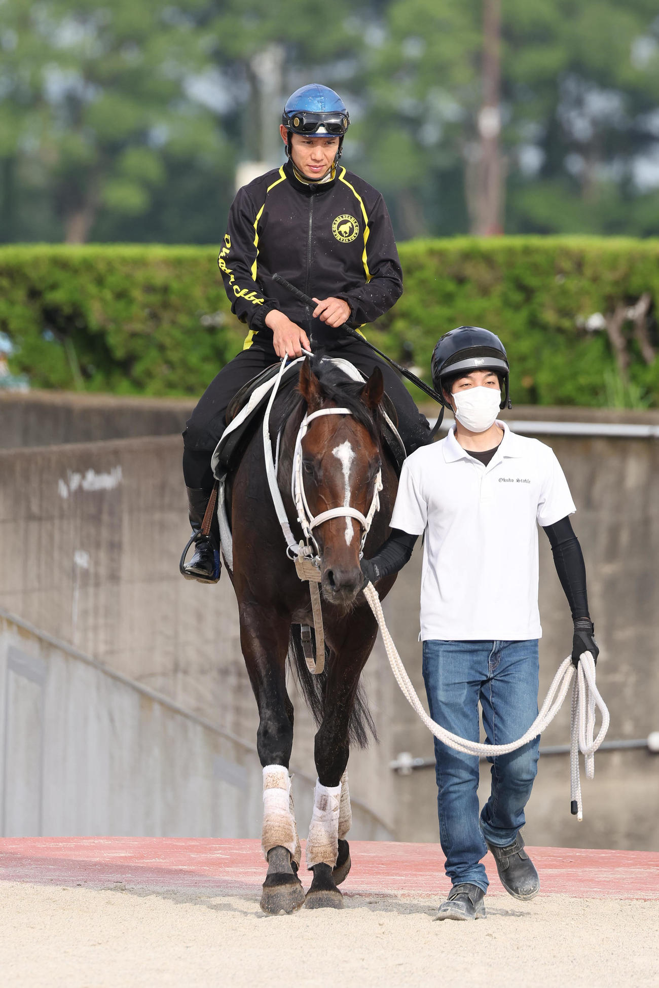 6月27日、菱田騎手を背に調教から引き揚げるハピ