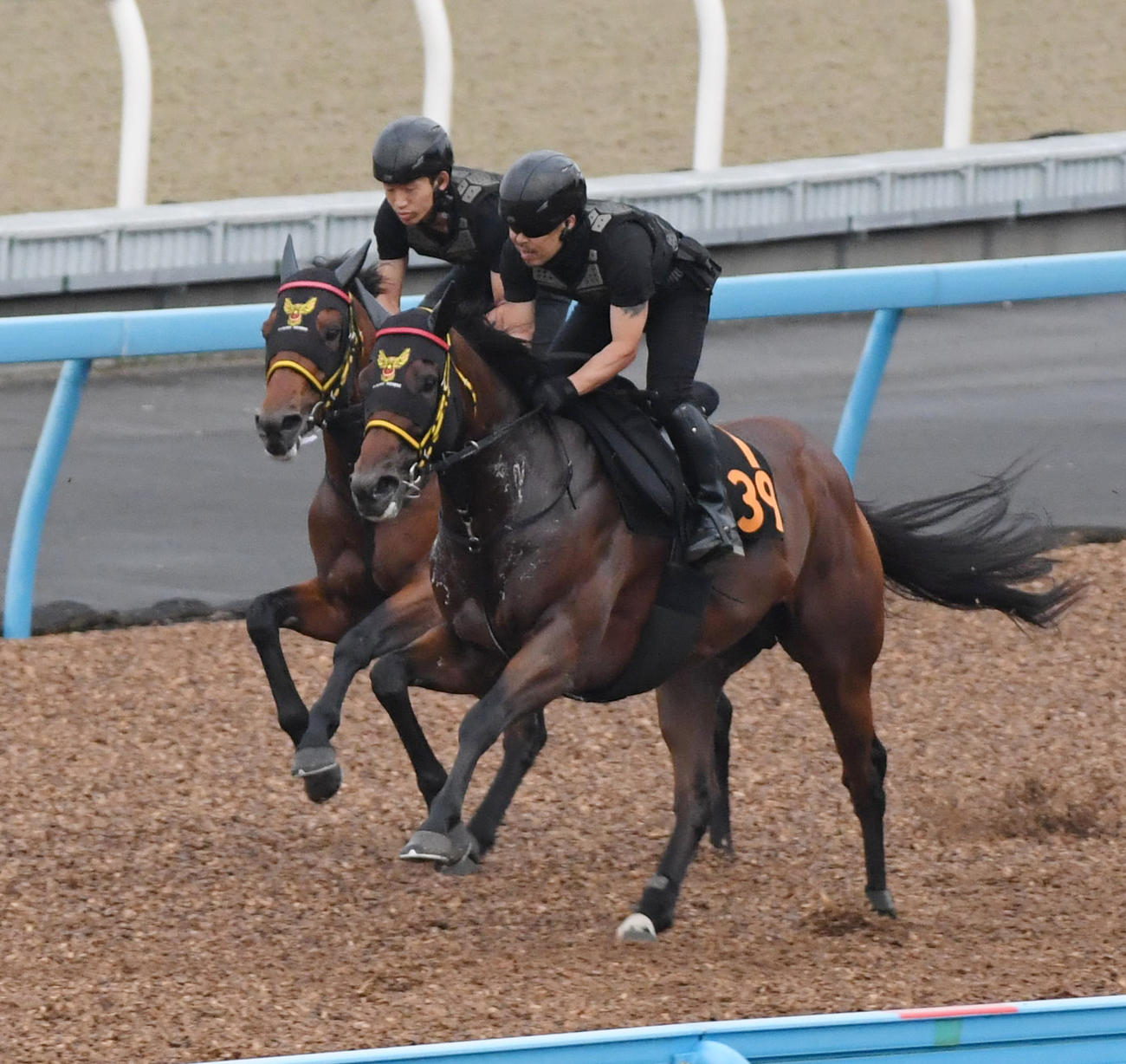 セイウンプラチナ（左）はイーサンハンターと併せて追い切る（撮影・柴田隆二）