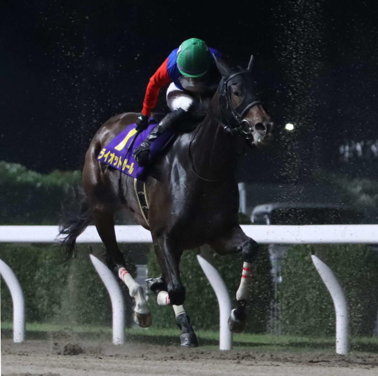 5着のライオットガールと松山弘平騎手