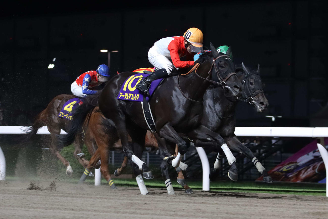 スパーキングレディーCを制したアーテルアストレアと菱田裕二騎手