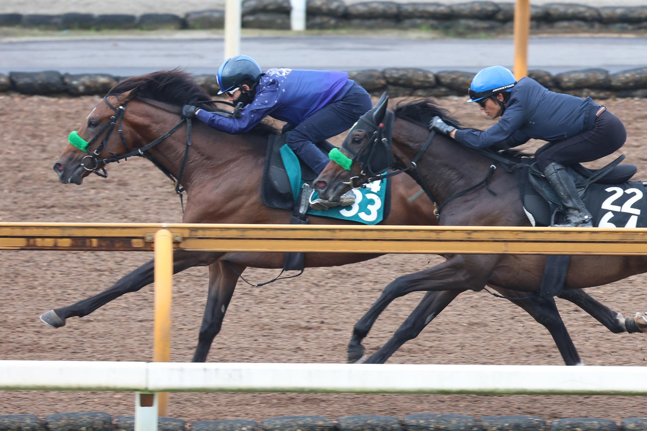 CWコースで併せ馬に先着したジョバンニ（2024年6月26日撮影）