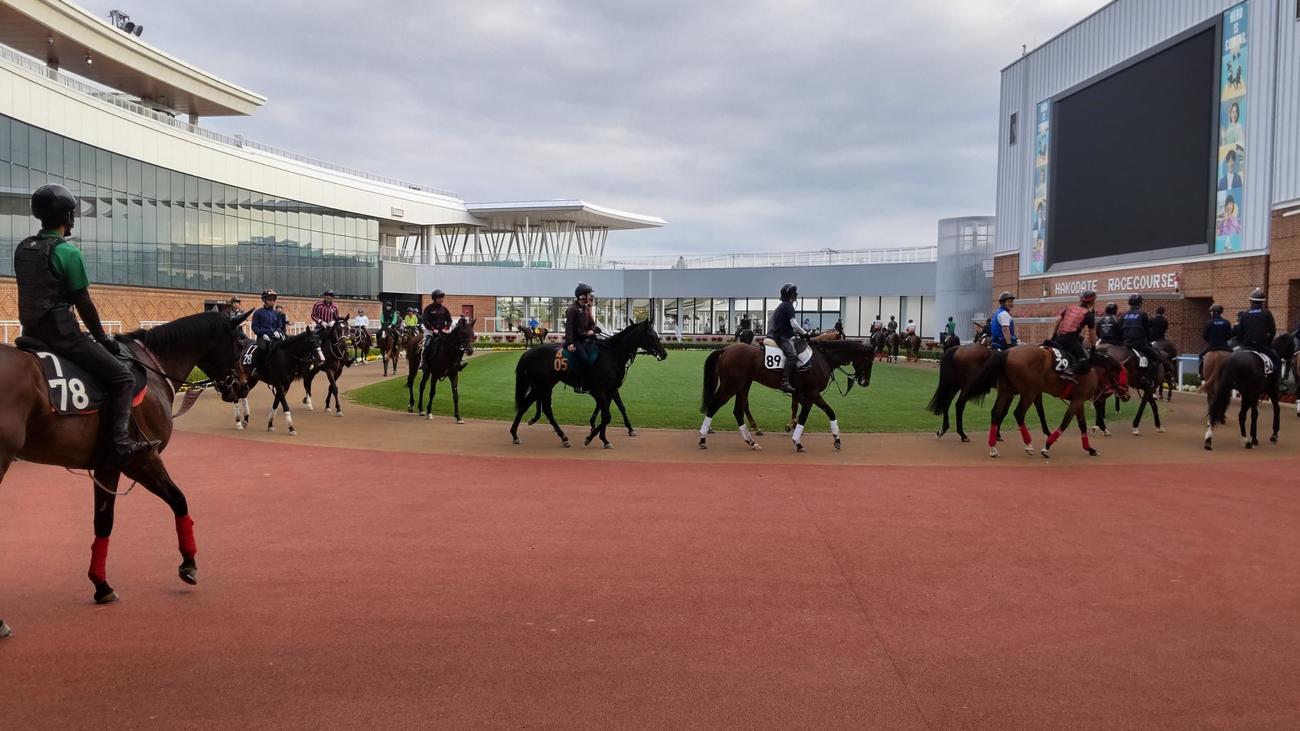 馬場での調教を終えてパドックでスクーリングする馬たち。数えてみると30頭以上