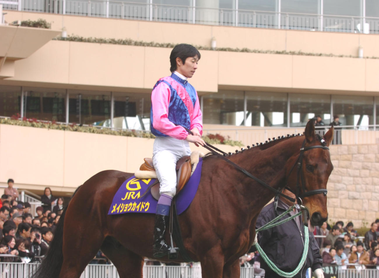 メイショウカイドウと武豊騎手（2008年撮影）