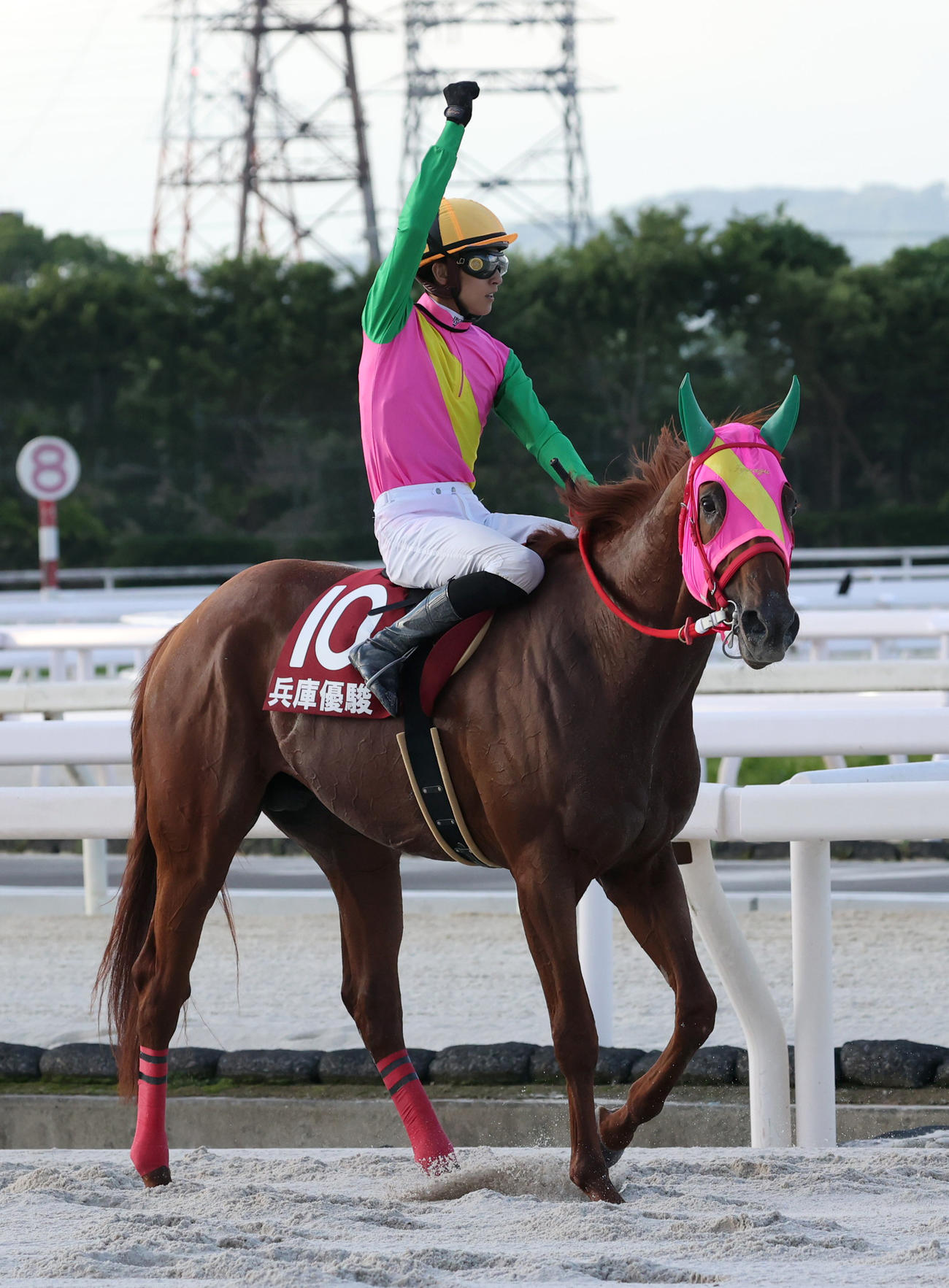 マルカイグアスで兵庫優駿を制しガッツポーズの鴨宮祥行騎手
