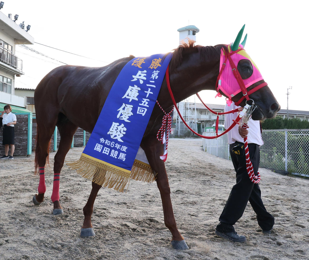 兵庫優駿を制したマルカイグアス