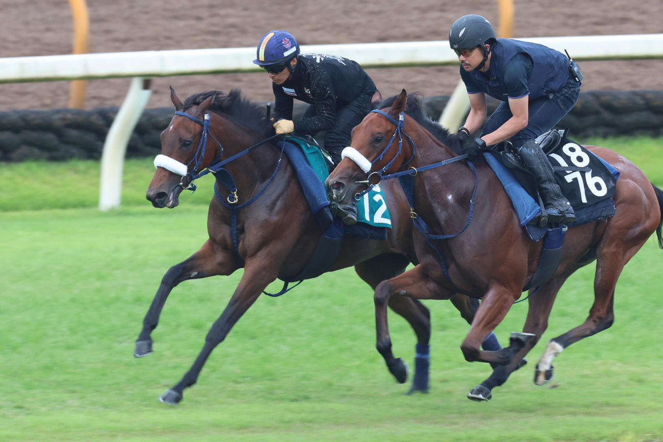 6月26日、併せ馬で追い切られるプレインコート（左）