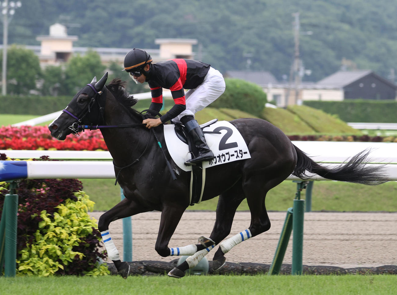 福島1R、2歳未勝利戦を制したホウオウブースターと菅原明騎手（撮影・柴田隆二）