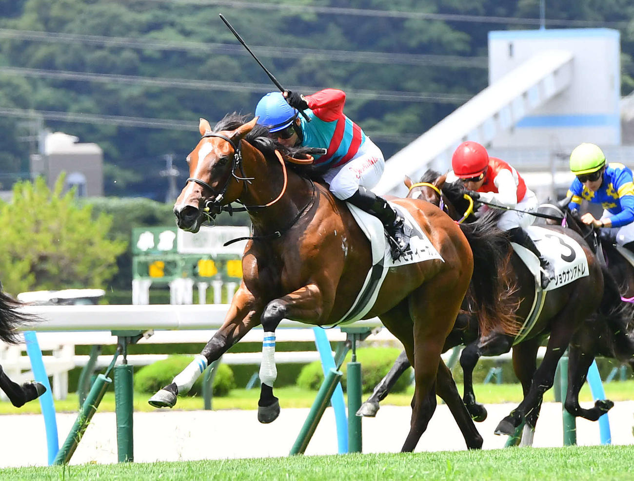 小倉5Rの新馬戦を制したタマモティーカップと長岡騎手（撮影・岩下翔太）