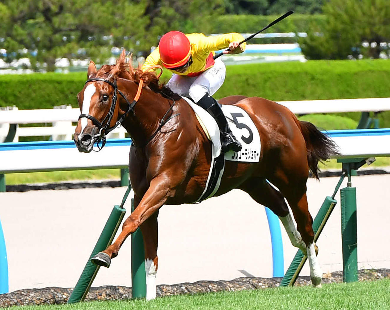 小倉1R・2歳未勝利　1着のコウユーモジョカーと団野大成騎手（撮影・岩下翔太）
