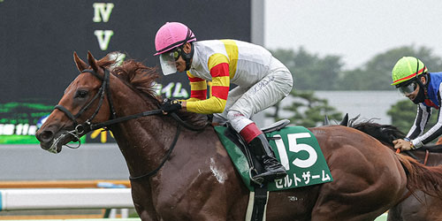 函館2歳Sを制し世代最初の重賞ウイナーとなったゼルトザーム（撮影・村野早祐）＝2023年7月15日、函館競馬場