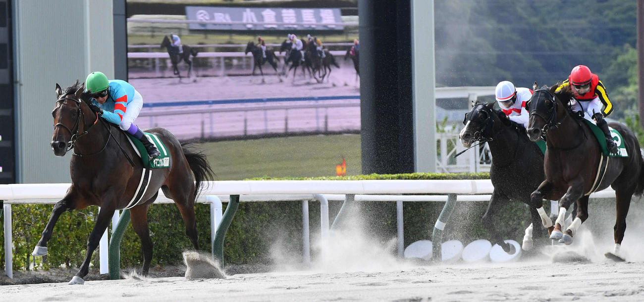 後続を引き離しプロキオンSを制したヤマニンウルスと武豊騎手。右から2着スレイマン、3着マリオロード