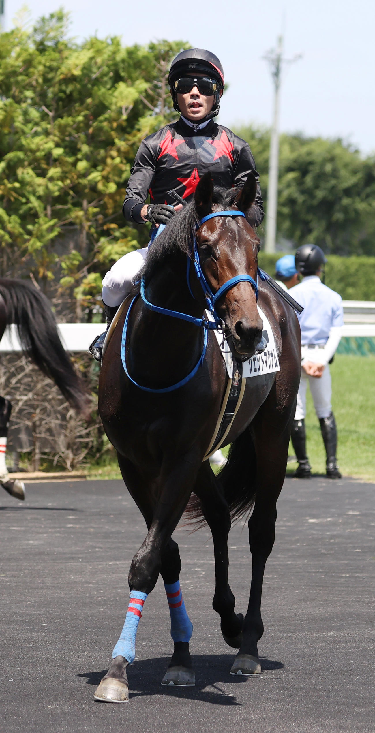 福島5R、新馬戦を制したジェットマグナムと戸崎騎手（撮影・柴田隆二）