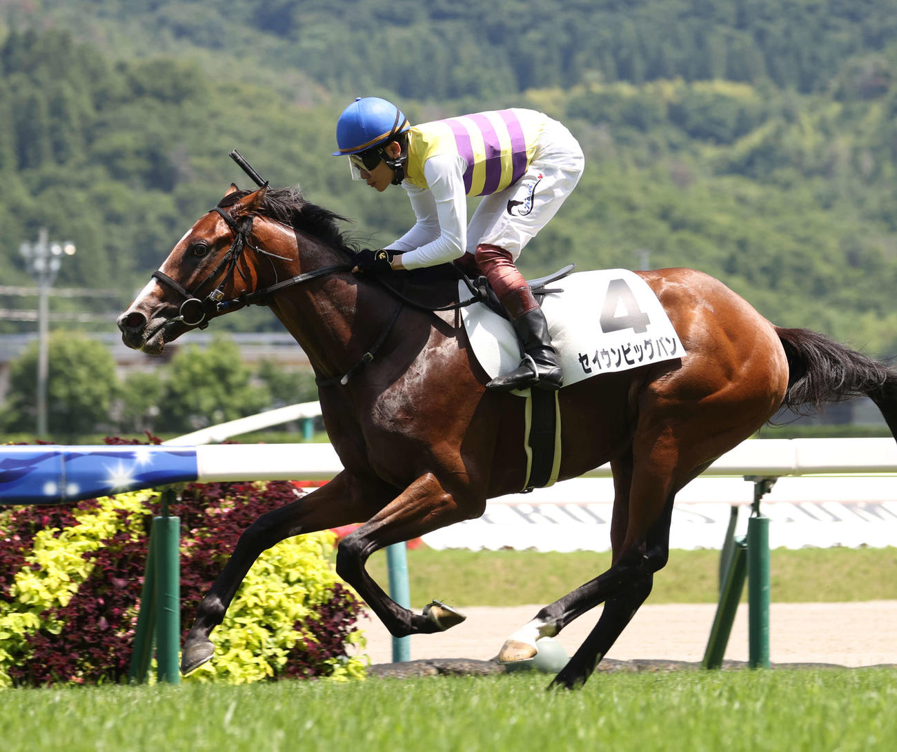 福島6Rの新馬戦を制したセイウンビッグバンと三浦騎手（撮影・柴田隆二）