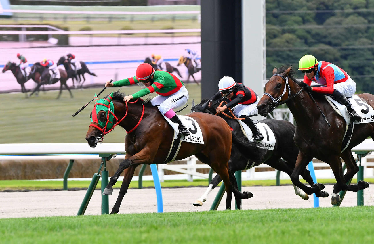 小倉6Rの新馬戦を制したスリールミニョンと永島騎手（撮影・岩下翔太）