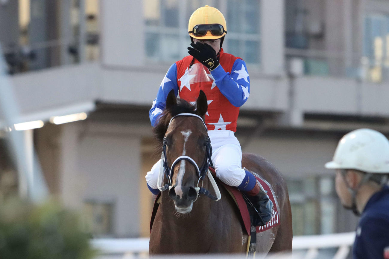復帰戦の赤兎馬賞を圧勝し、引き揚げてくるダテノショウグン