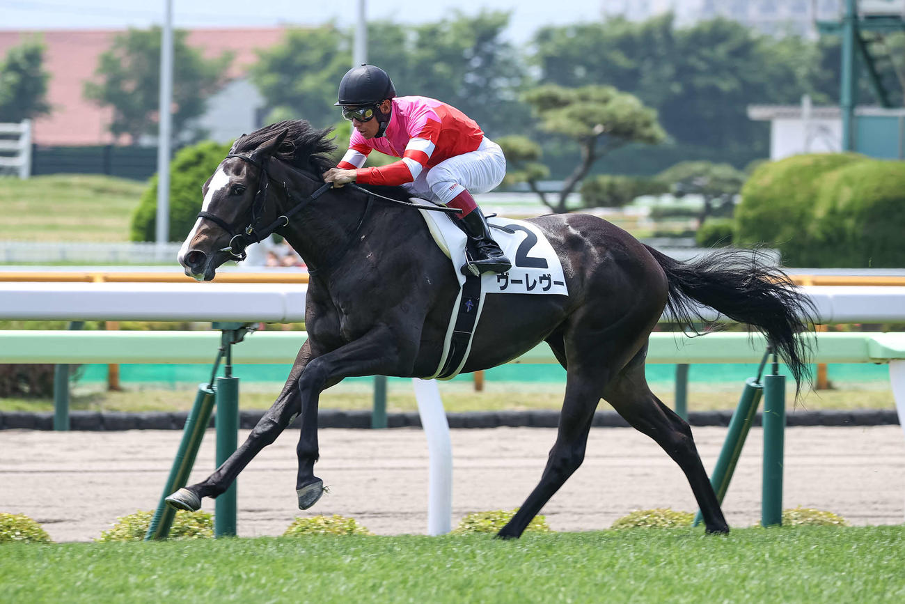 函館2歳Sに出走予定のヴーレヴー（2024年6月撮影）