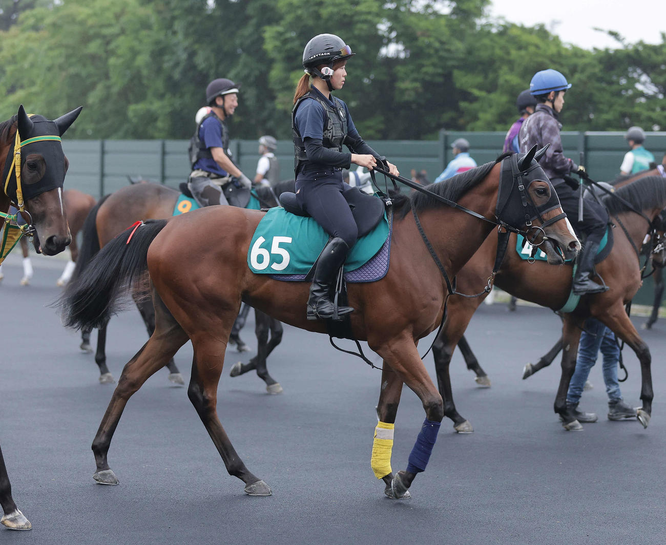 函館競馬場で調整を積むカルプスペルシュ