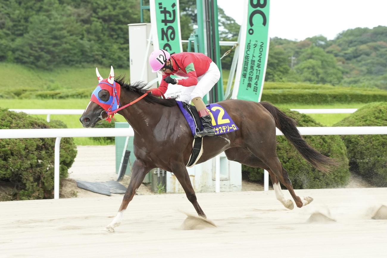 霧島賞を制したルピナステソーロ（佐賀競馬提供）
