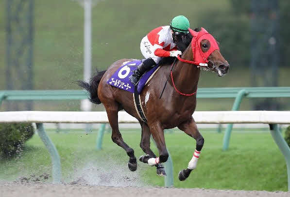 岩鷲賞を制したゴールデンヒーラー（提供・岩手県競馬組合）