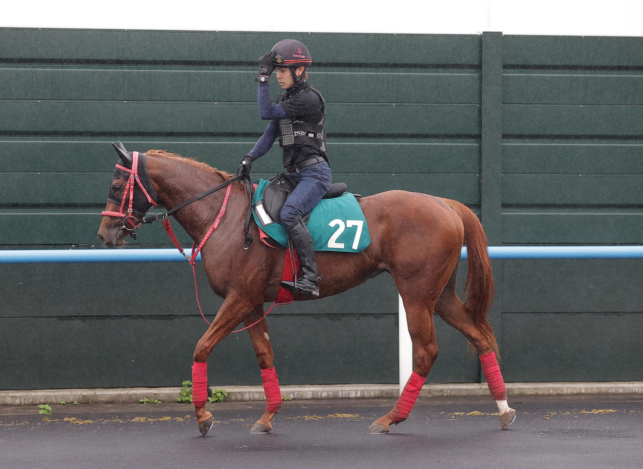 函館競馬場で調整を積むリリーフィールド
