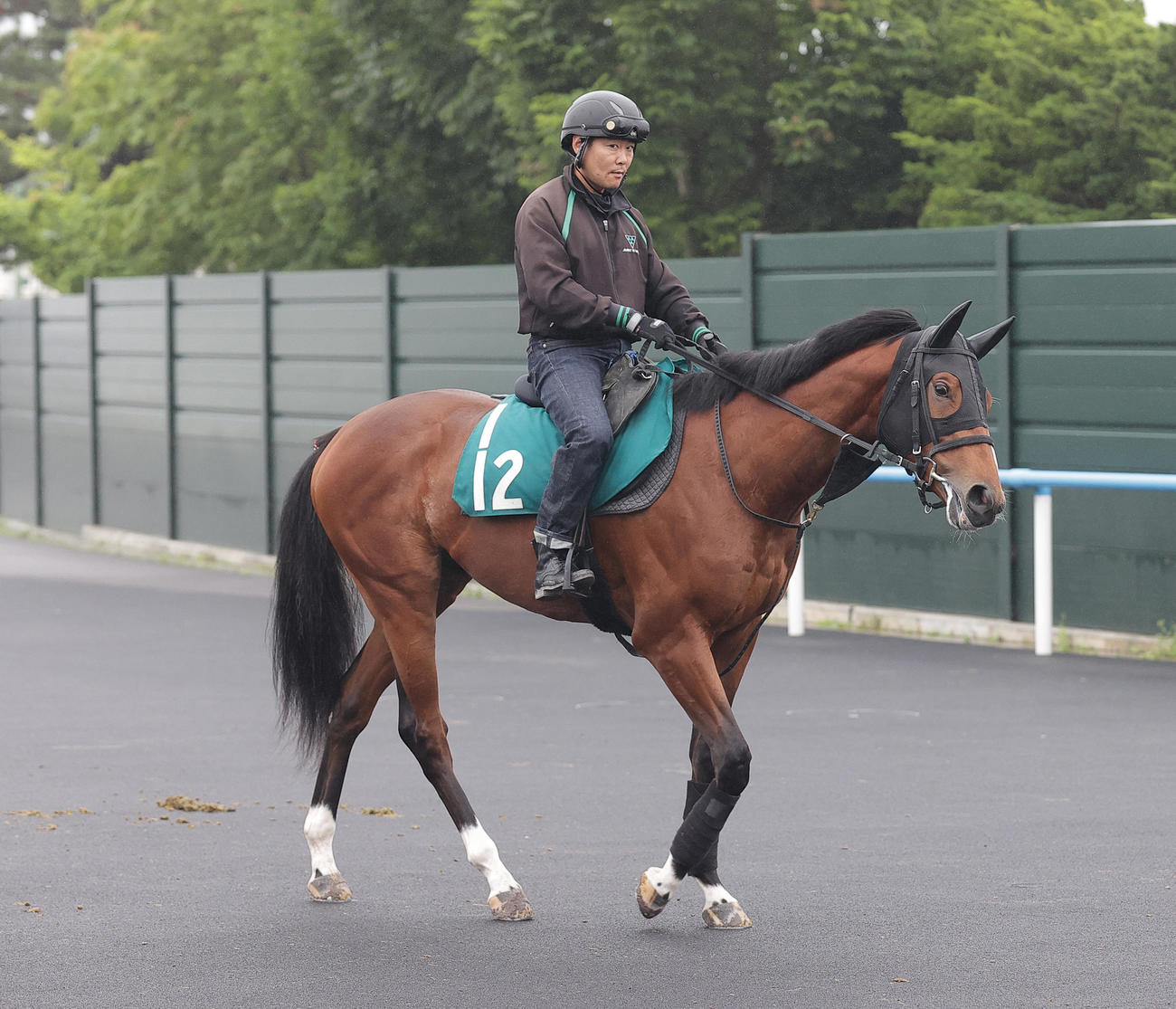 函館競馬場で調整を積むリアライズオーラム