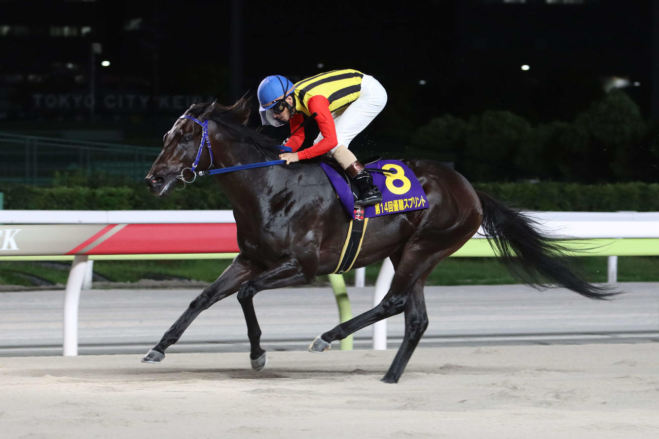 外の3番手から直線で抜け出し優駿スプリントを制したティントレットと矢野貴之騎手