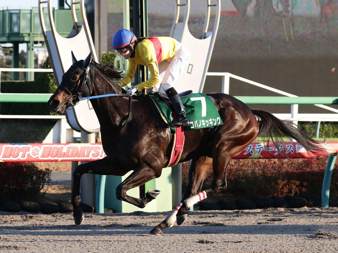 19年カペラSをコパノキッキングで制し初重賞制覇の藤田菜七子騎手