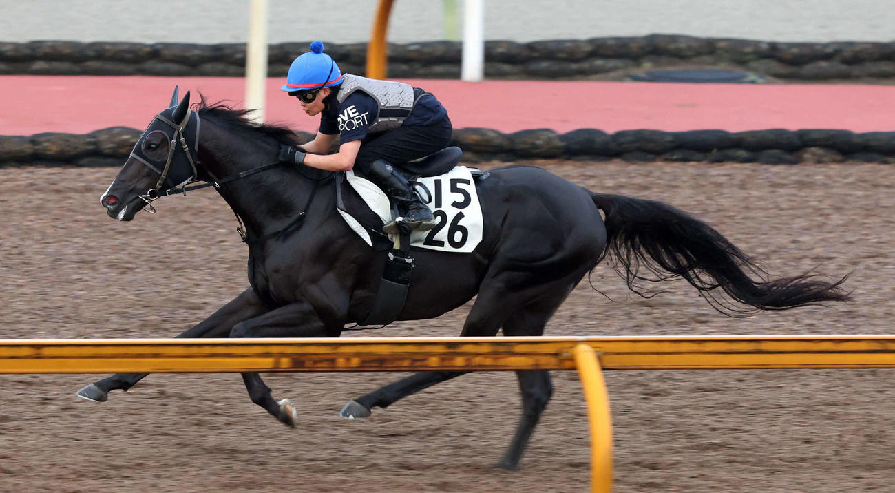 田口騎手を背にCWコースで追い切るニホンピロキーフ