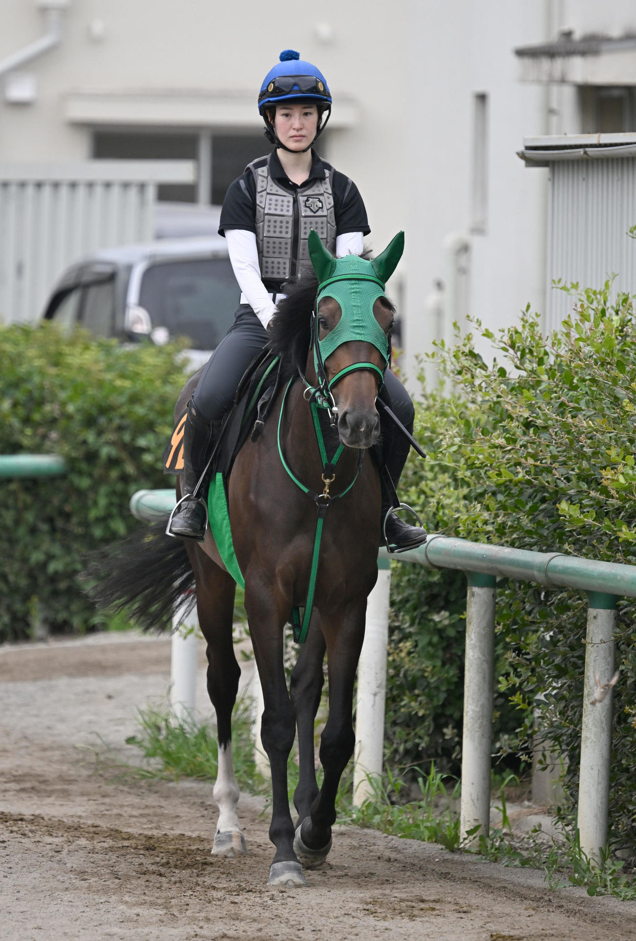 馬場に向かうシルバーブロンド騎乗の藤田菜七子騎手（撮影・千葉一成）